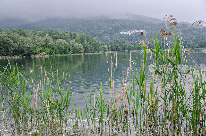 Plesching湖- Pleschingersee Linz